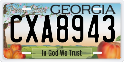 GA license plate CXA8943