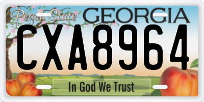 GA license plate CXA8964