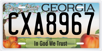 GA license plate CXA8967