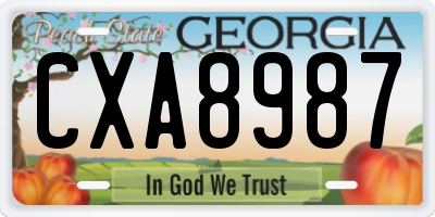 GA license plate CXA8987