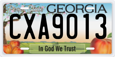 GA license plate CXA9013