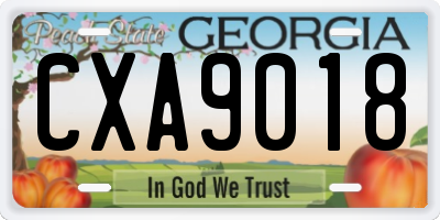 GA license plate CXA9018