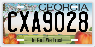 GA license plate CXA9028
