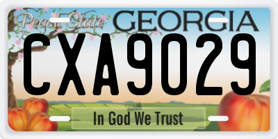 GA license plate CXA9029
