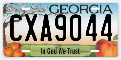 GA license plate CXA9044