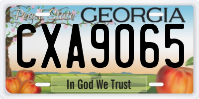 GA license plate CXA9065