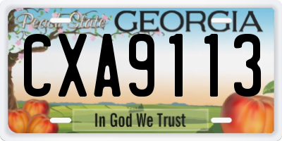 GA license plate CXA9113