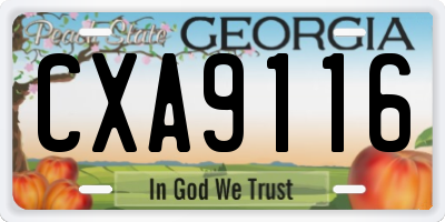 GA license plate CXA9116