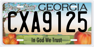 GA license plate CXA9125