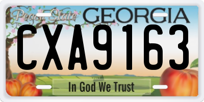 GA license plate CXA9163
