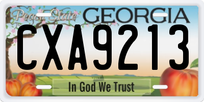 GA license plate CXA9213