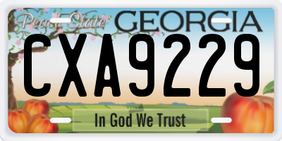 GA license plate CXA9229