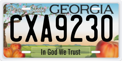 GA license plate CXA9230