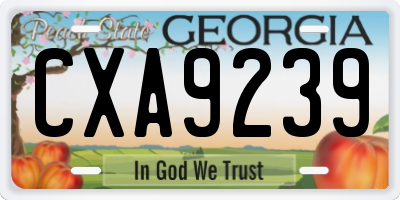 GA license plate CXA9239