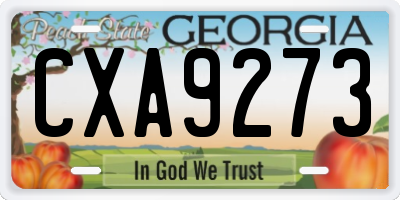 GA license plate CXA9273