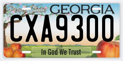 GA license plate CXA9300