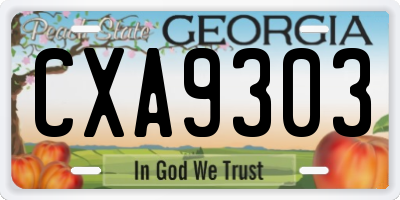 GA license plate CXA9303