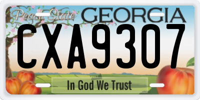 GA license plate CXA9307