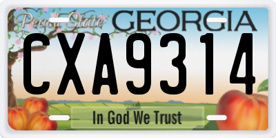 GA license plate CXA9314