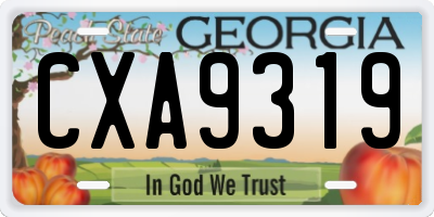 GA license plate CXA9319
