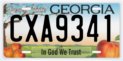 GA license plate CXA9341
