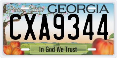 GA license plate CXA9344