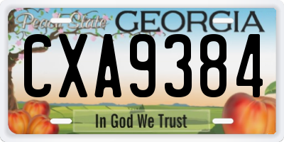 GA license plate CXA9384