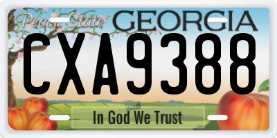 GA license plate CXA9388