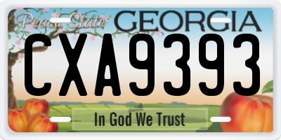 GA license plate CXA9393