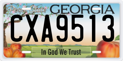 GA license plate CXA9513