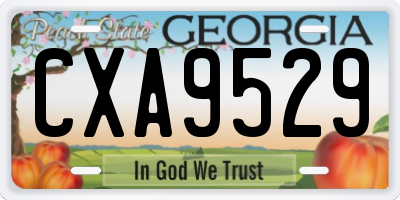 GA license plate CXA9529