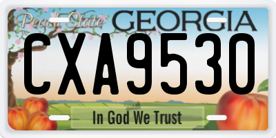 GA license plate CXA9530