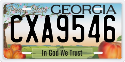 GA license plate CXA9546