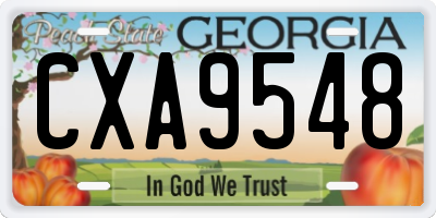 GA license plate CXA9548