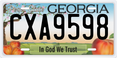 GA license plate CXA9598