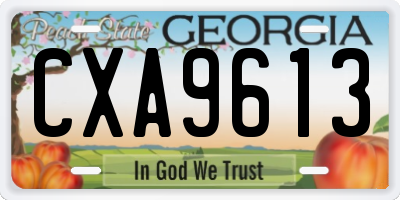GA license plate CXA9613