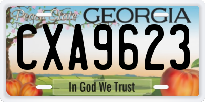 GA license plate CXA9623