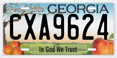 GA license plate CXA9624