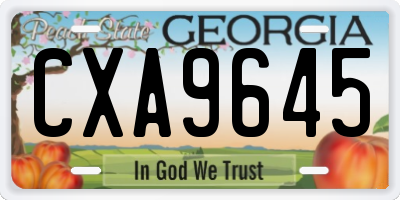 GA license plate CXA9645