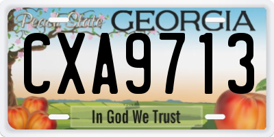 GA license plate CXA9713