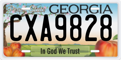 GA license plate CXA9828