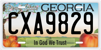 GA license plate CXA9829