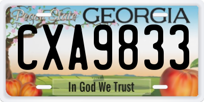 GA license plate CXA9833