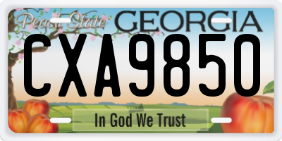 GA license plate CXA9850