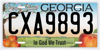 GA license plate CXA9893