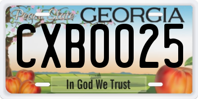 GA license plate CXB0025