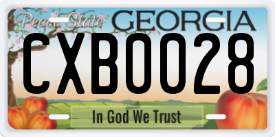 GA license plate CXB0028