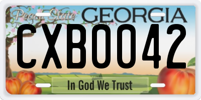 GA license plate CXB0042