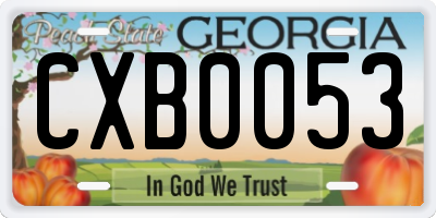 GA license plate CXB0053