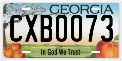 GA license plate CXB0073